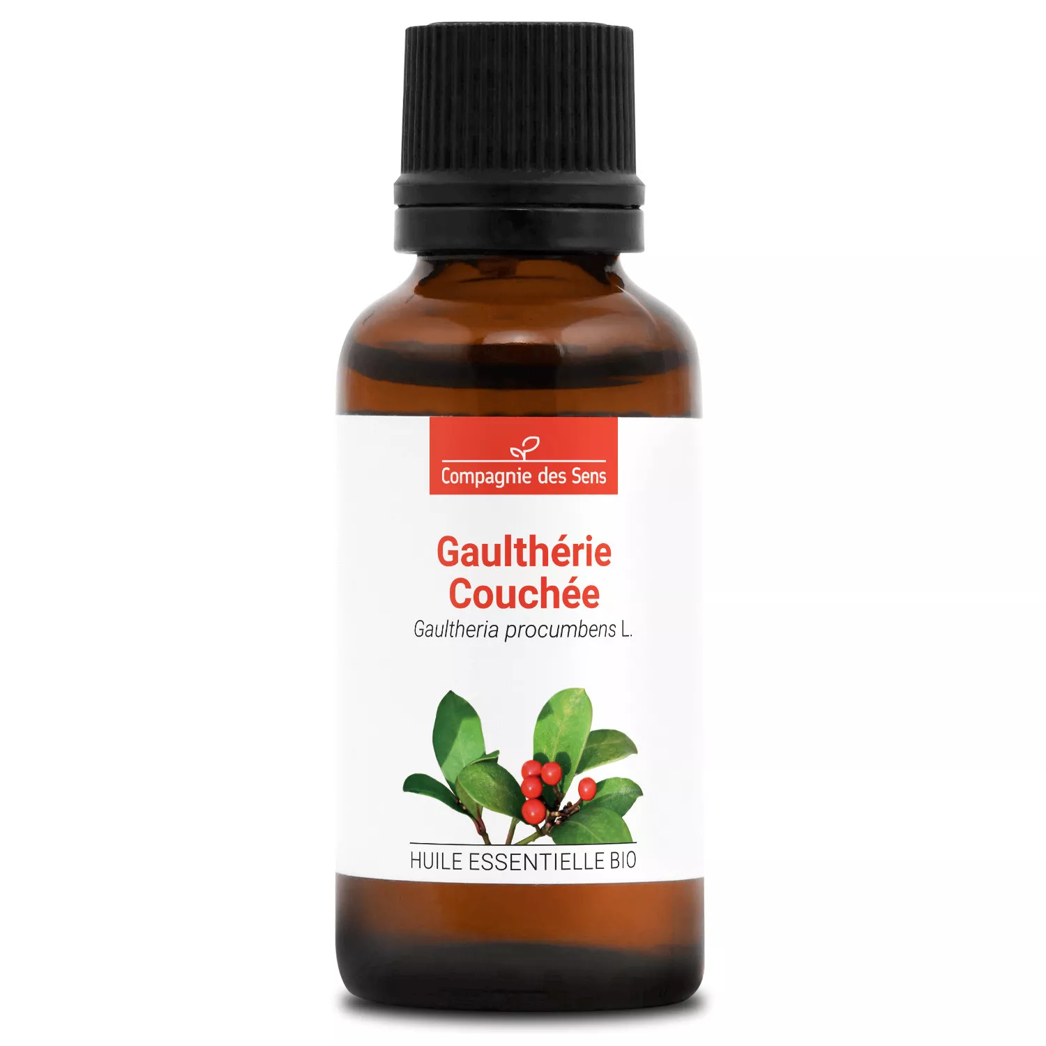 GAULTHÉRIE COUCHÉE - Huile essentielle BIO