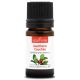 GAULTHÉRIE COUCHÉE - Huile essentielle BIO