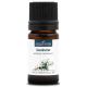 GENÉVRIER - Huile essentielle BIO