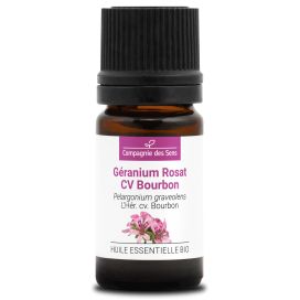 Géranium rosat cv bourbon 