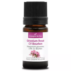GÉRANIUM ROSAT CV BOURBON