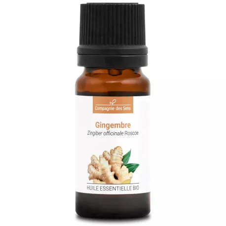 GINGEMBRE - Huile essentielle BIO
