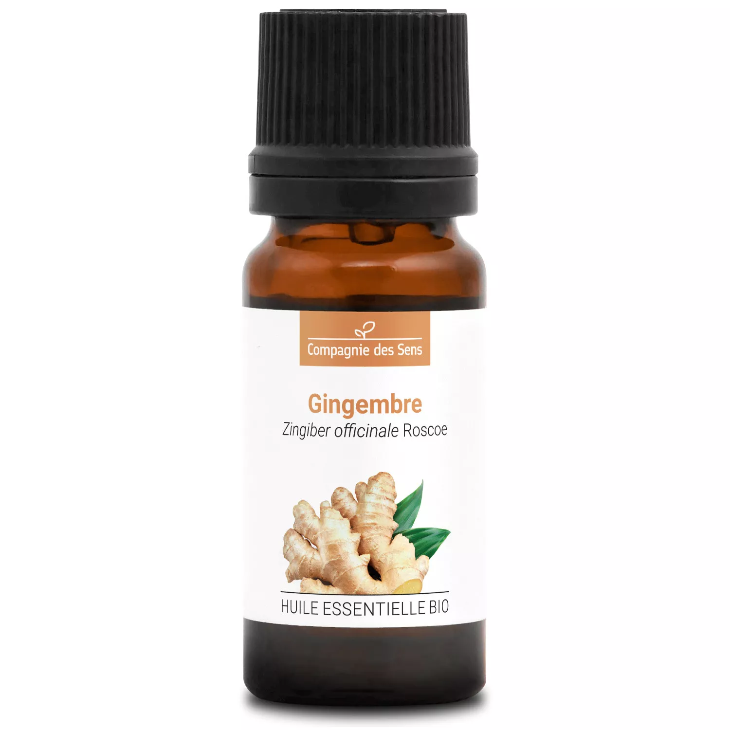 GINGEMBRE - Huile essentielle BIO