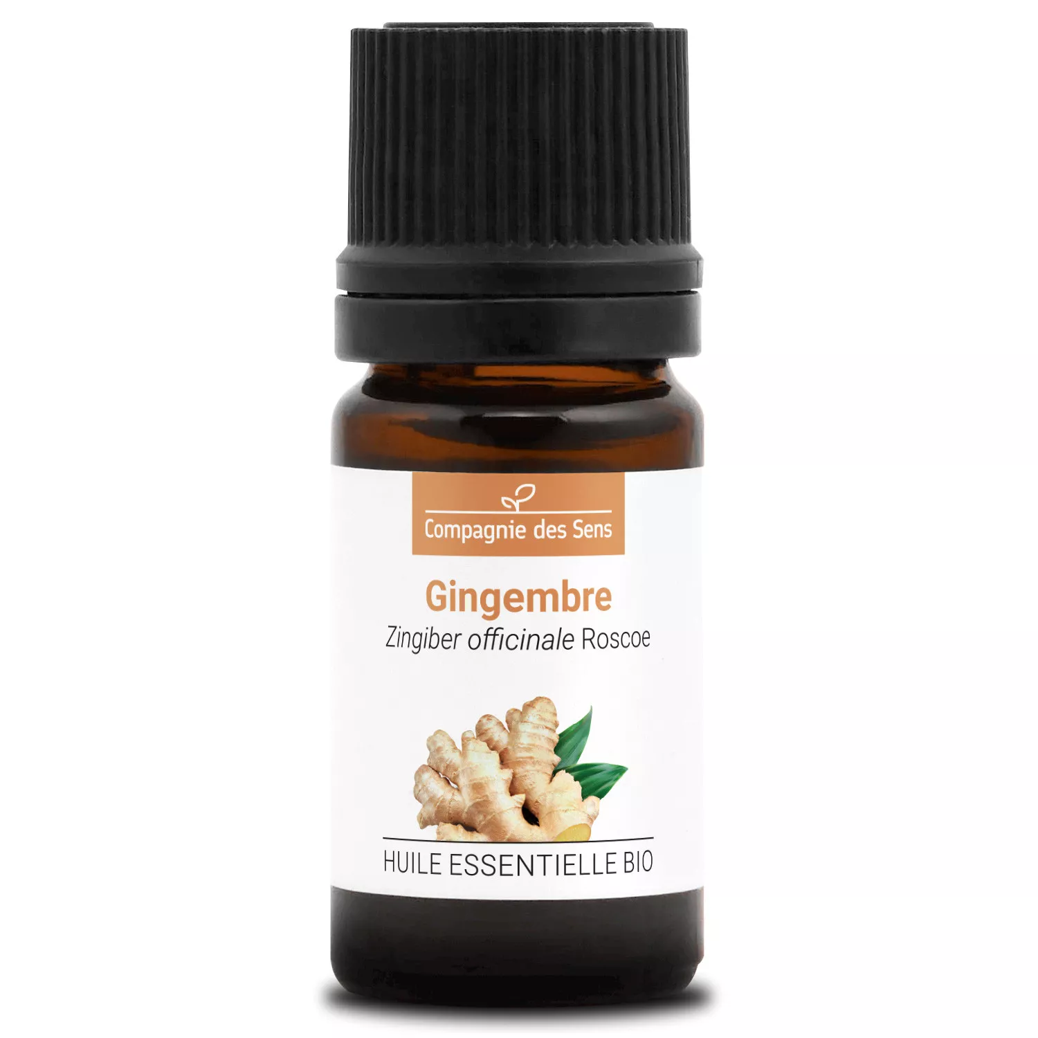 GINGEMBRE - Huile essentielle BIO