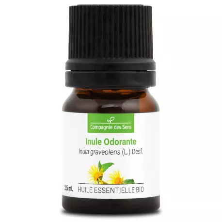 INULE ODORANTE - Huile essentielle BIO