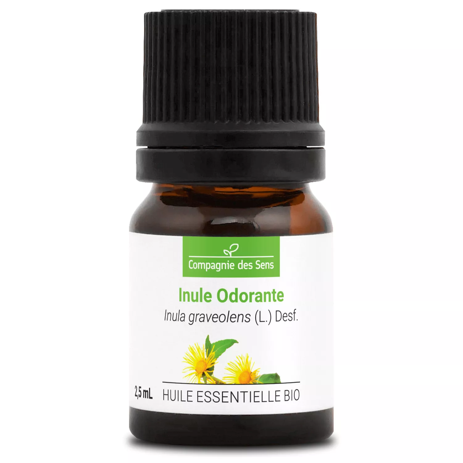 INULE ODORANTE - Huile essentielle BIO