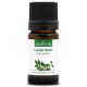LAURIER NOBLE - Huile essentielle BIO