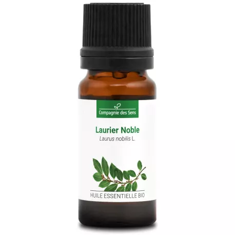 LAURIER NOBLE - Huile essentielle BIO