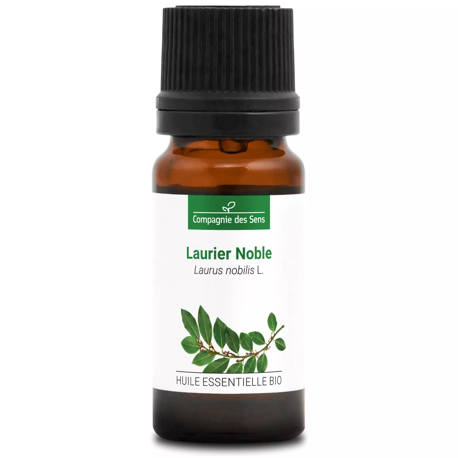 LAURIER NOBLE - Huile essentielle BIO