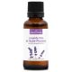 LAVANDE FINE - Huile essentielle BIO