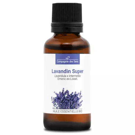 LAVANDIN SUPER - Huile essentielle BIO