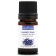 LAVANDIN SUPER - Huile essentielle BIO