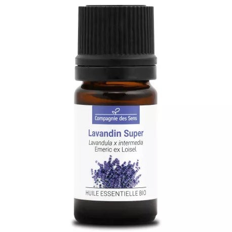 LAVANDIN SUPER - Huile essentielle BIO