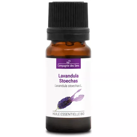 LAVANDULA STOECHAS - Huile essentielle BIO