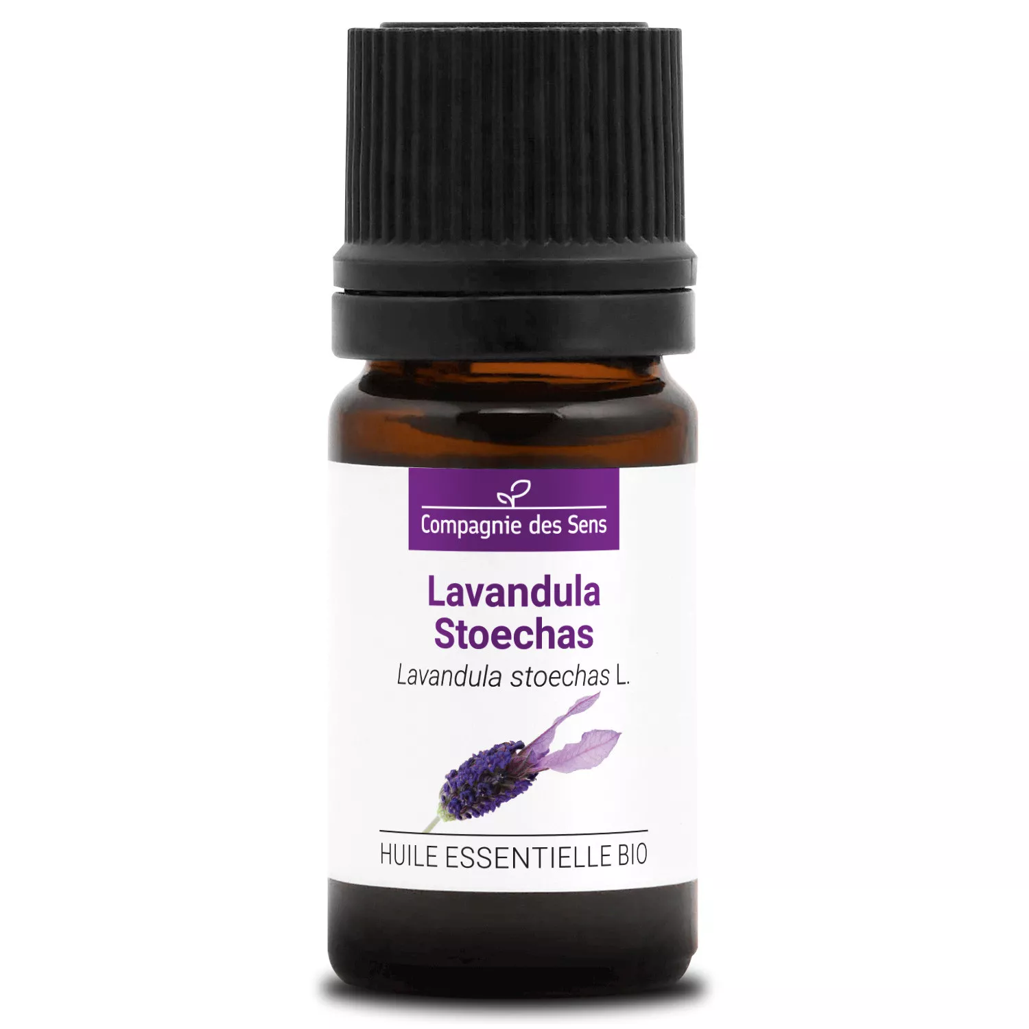 LAVANDULA STOECHAS - Huile essentielle BIO