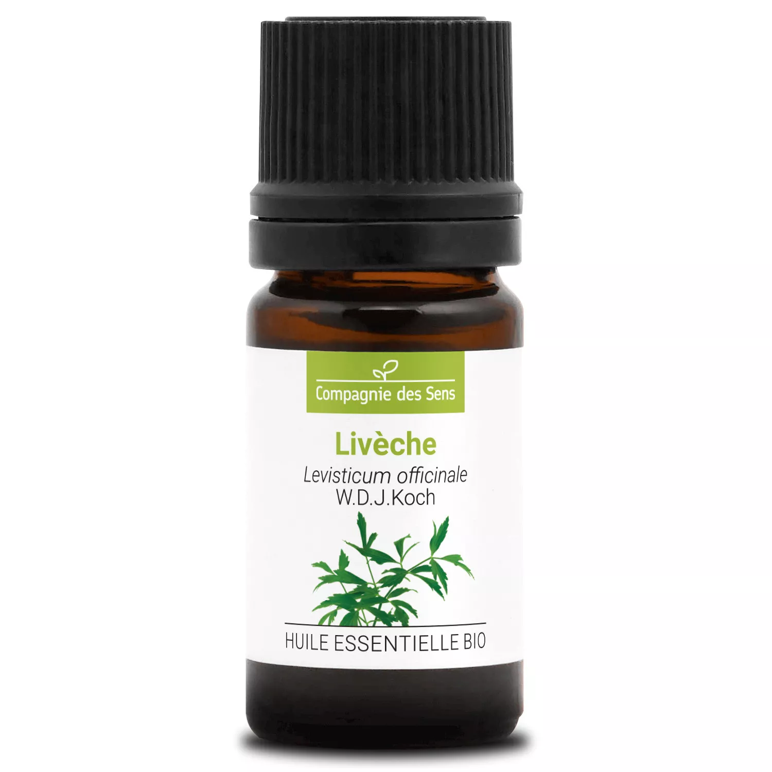 LIVÈCHE - Huile essentielle BIO