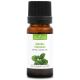 MENTHE CITRONNÉE - Huile essentielle BIO