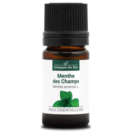 MENTHE DES CHAMPS - Huile essentielle BIO