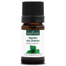 Menthe des champs 