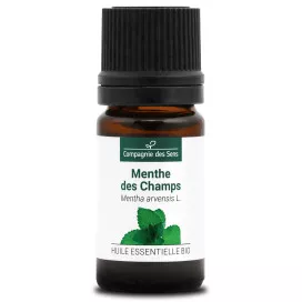 MENTHE DES CHAMPS