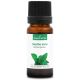 MENTHE VERTE - Huile essentielle BIO