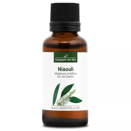 NIAOULI - Huile essentielle BIO