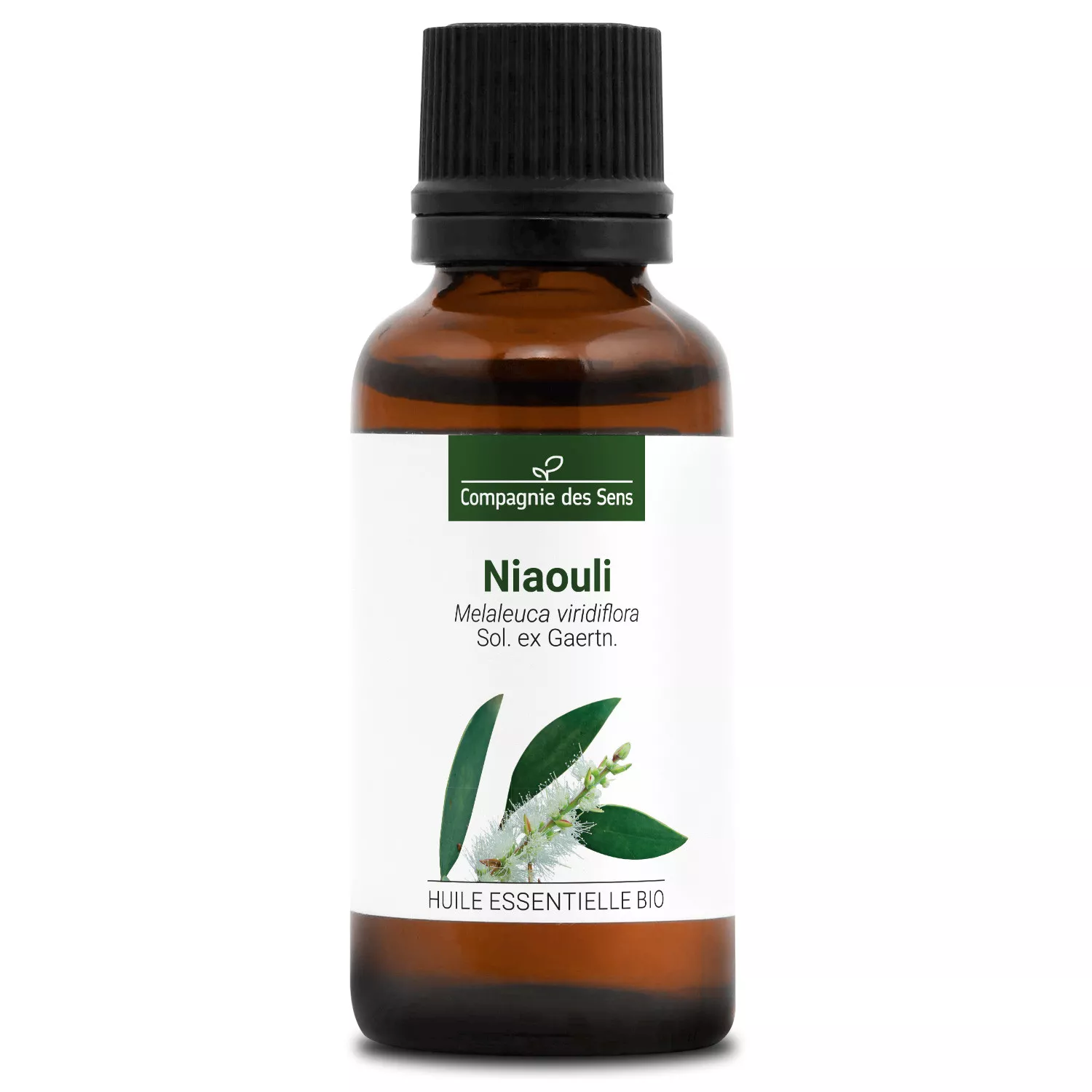 NIAOULI - Huile essentielle BIO