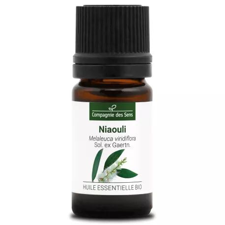 NIAOULI - Huile essentielle BIO