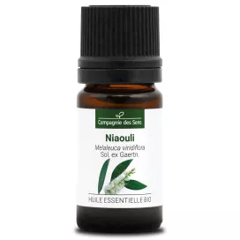 Niaouli