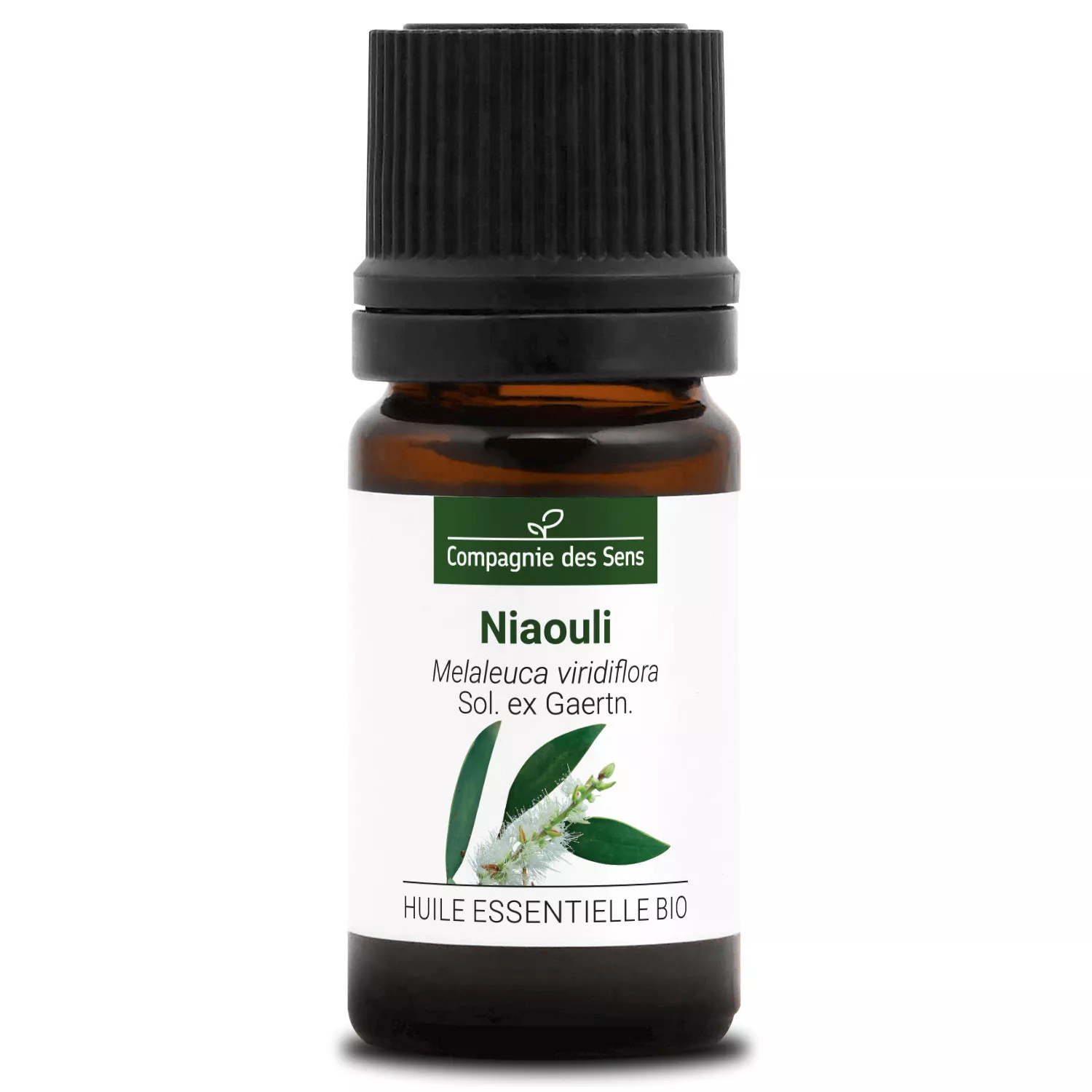NIAOULI - Huile essentielle BIO