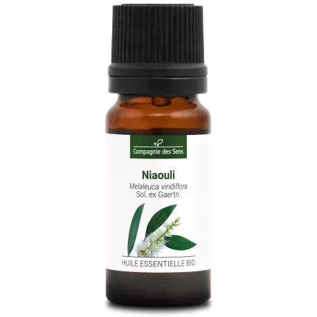 NIAOULI - Huile essentielle BIO