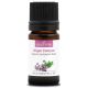 ORIGAN COMPACT - Huile essentielle BIO