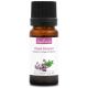 ORIGAN COMPACT - Huile essentielle BIO