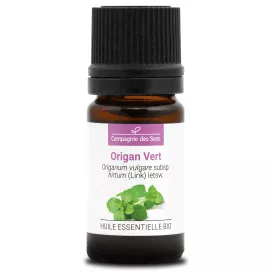 ORIGAN VERT