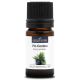 PIN CEMBRO - Huile essentielle BIO