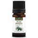 PIN DES MONTAGNES - Huile essentielle BIO