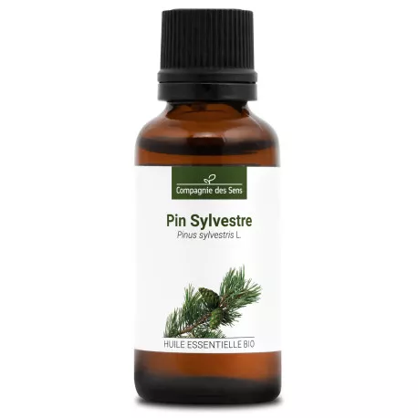 PIN SYLVESTRE - Huile essentielle BIO