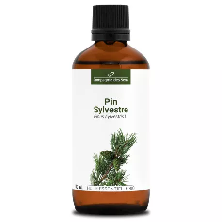 PIN SYLVESTRE - Huile essentielle BIO