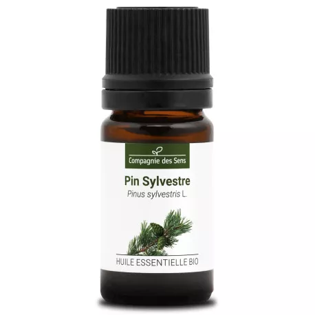 PIN SYLVESTRE - Huile essentielle BIO