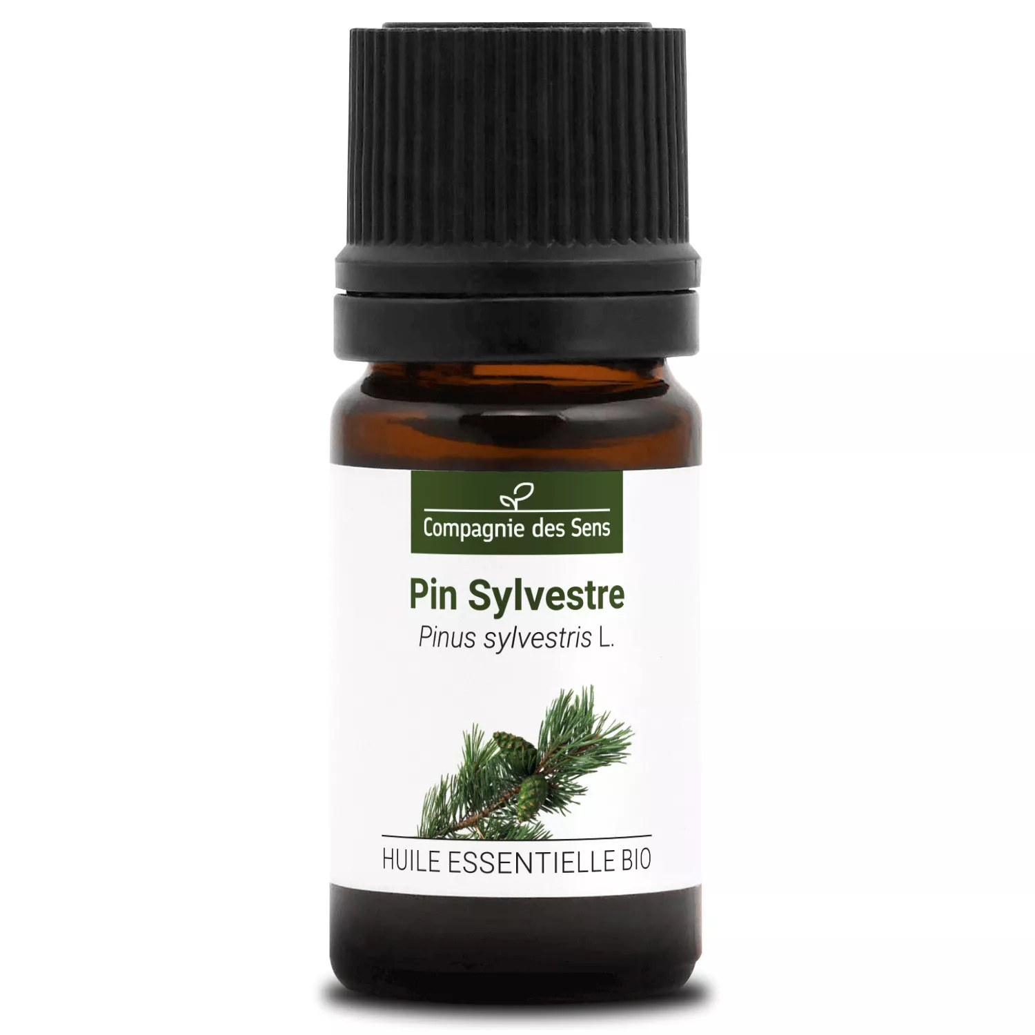PIN SYLVESTRE - Huile essentielle BIO