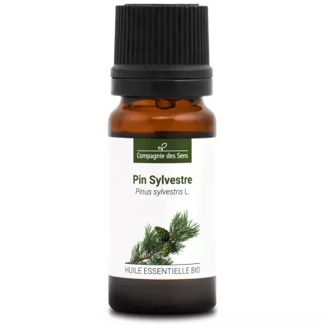 PIN SYLVESTRE - Huile essentielle BIO