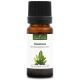 RAVENSARE - Huile essentielle BIO