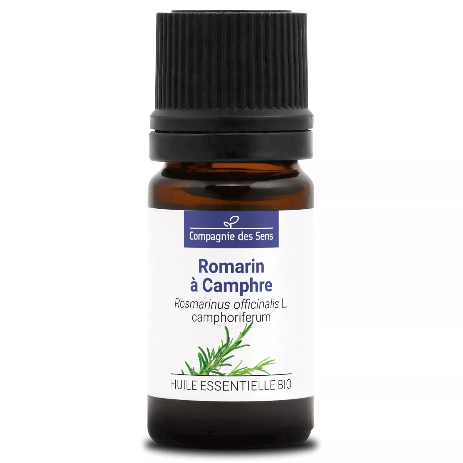 ROMARIN À CAMPHRE - Huile essentielle BIO