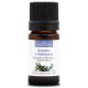 ROMARIN À VERBÉNONE - Huile essentielle BIO