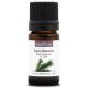SAPIN BAUMIER - Huile essentielle BIO