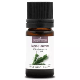 Sapin baumier