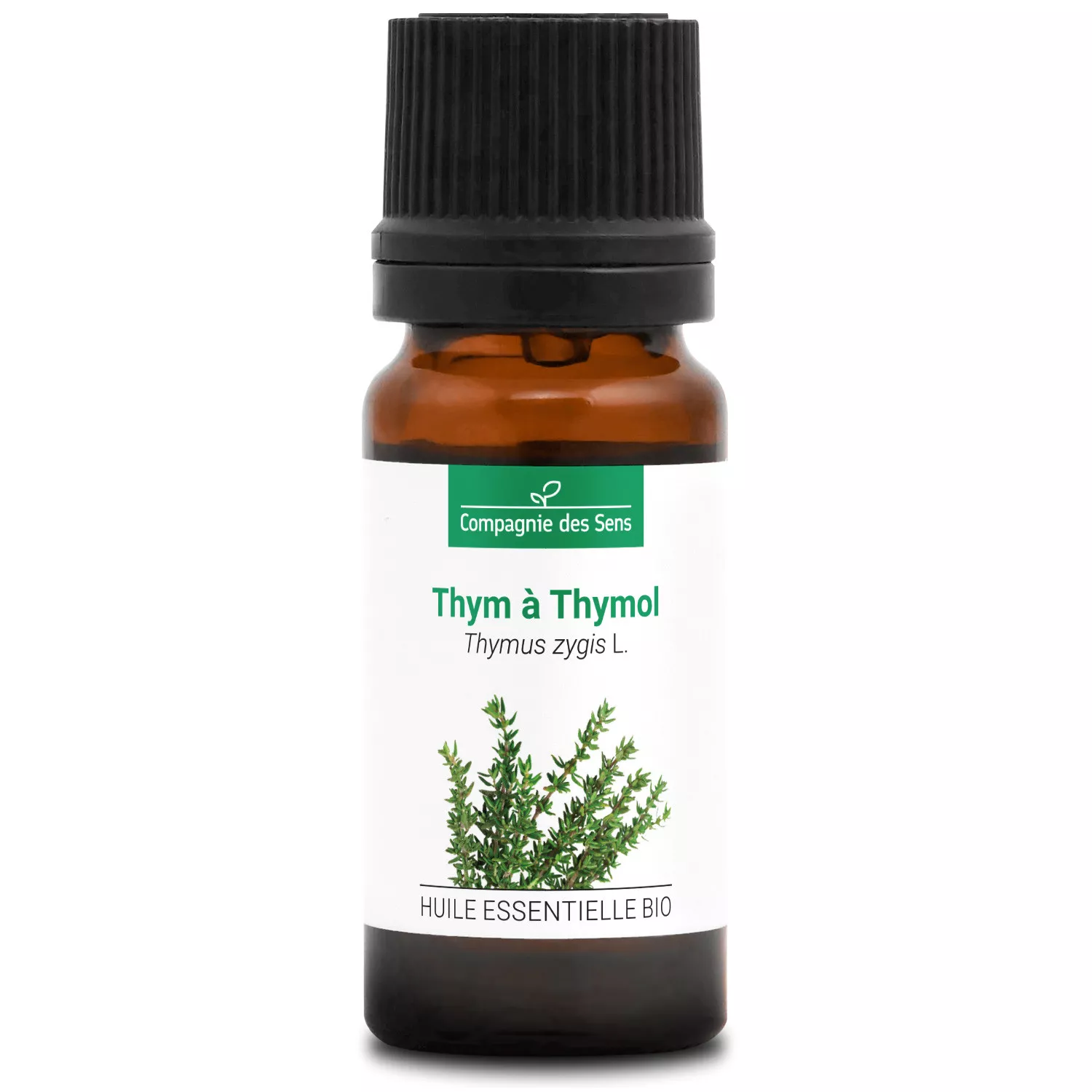 THYM À THYMOL - Huile essentielle BIO