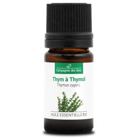 Thym à thymol 