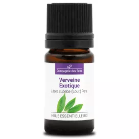 VERVEINE EXOTIQUE