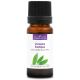VERVEINE EXOTIQUE - Huile essentielle BIO